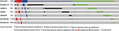 ARID1A, ARID1B, and ARID2 Mutations Serve as Potential Biomarkers for Immune Checkpoint Blockade in Patients With Non-Small Cell Lung Cancer